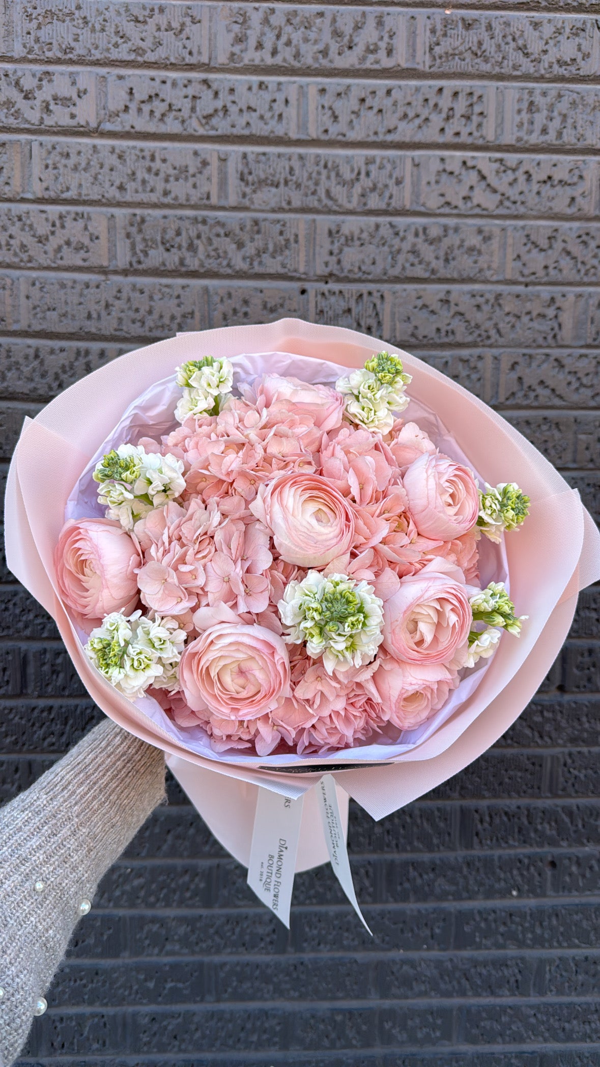 Rosé Cloud