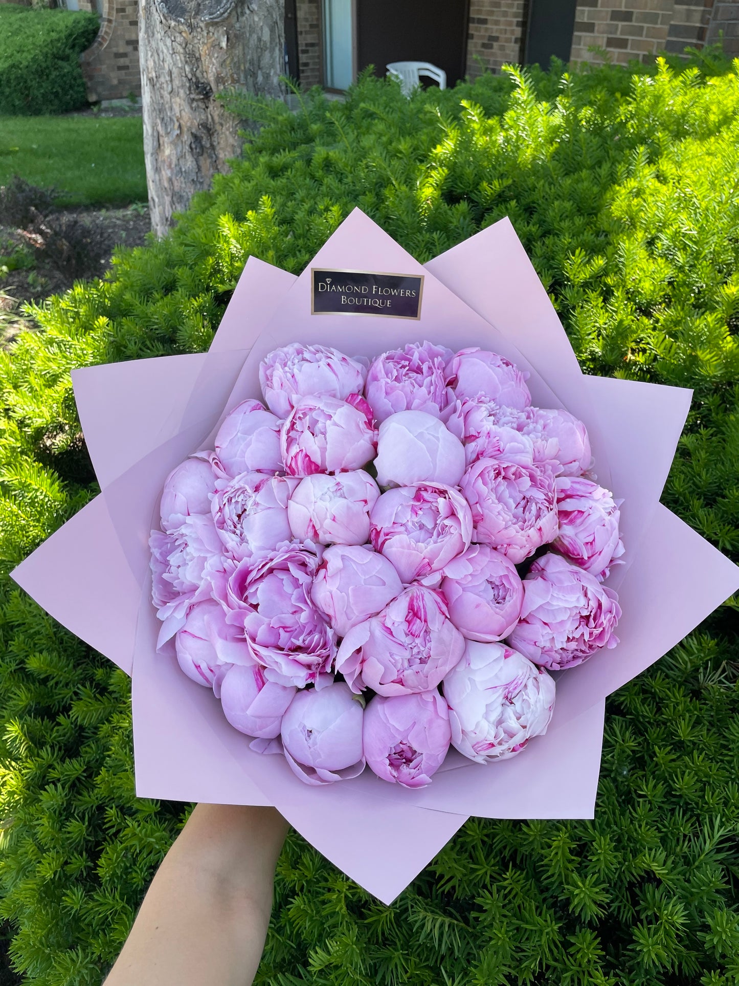 Peonies